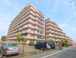 外観：313004607024