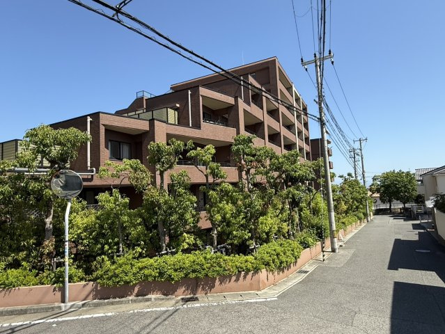 外観もきれいです