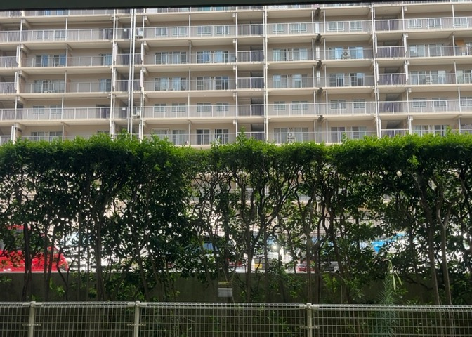 1階ならではの落ち着いた眺望が魅力。専用庭の緑を眺めながらゆったりとした時間を過ごせます。南東向きで前面に遮るものが少なく、日当たり・通風ともに良好で快適な居住空間を確保しています。