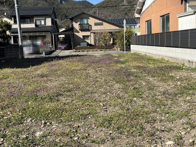 敷地内南から北へ