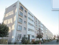 外観：313004702644