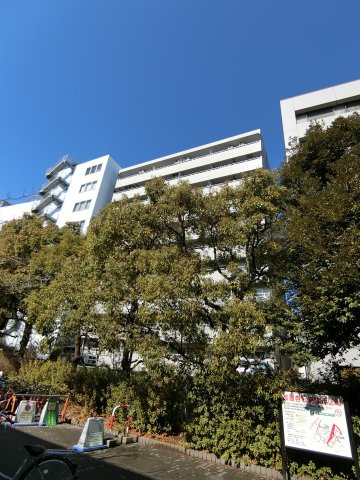 外観：313004767306