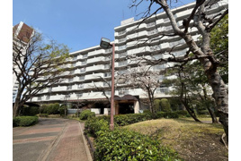 品川八潮パークタウン シティコープ八潮台 46号棟 3階の外観