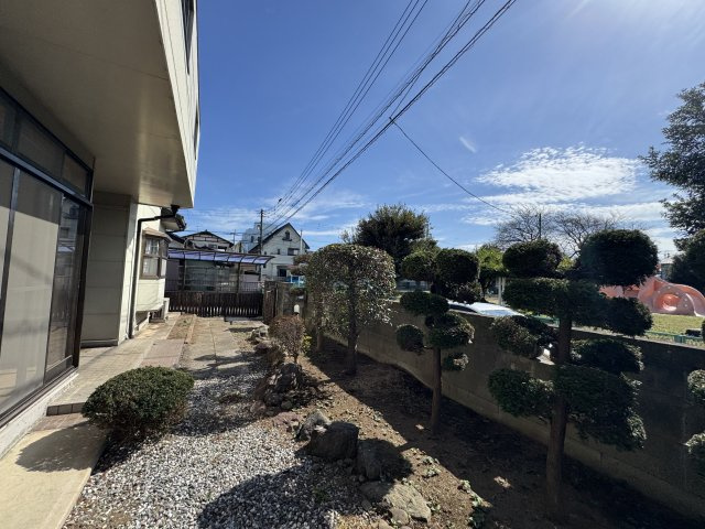 庭