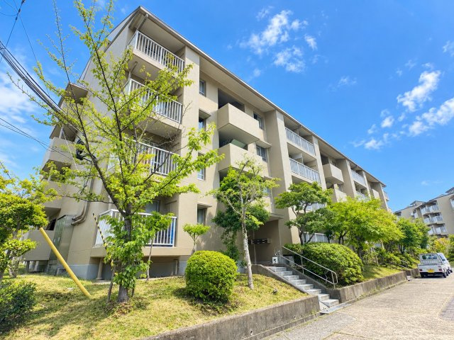 外観：328000679496