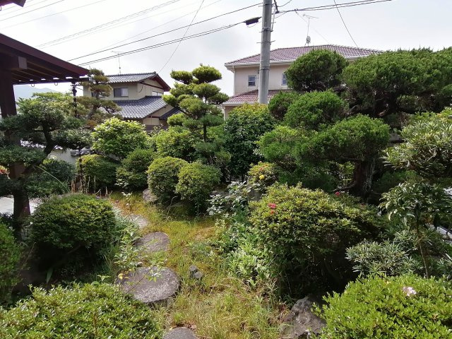お庭です
