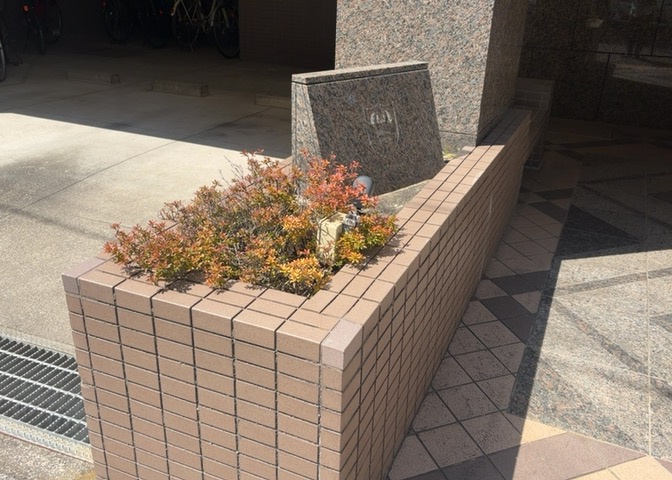 中庭（パティオ）とは、一つの建築物の内部に設けられた、壁などで囲われている庭のことを指します。コの字型、ロの字型が主流ですが、L字型の中庭もあります。最近では、インテリア性の高さからも人気があります。