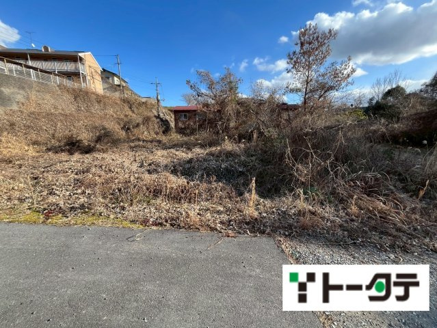 外観：334000225282