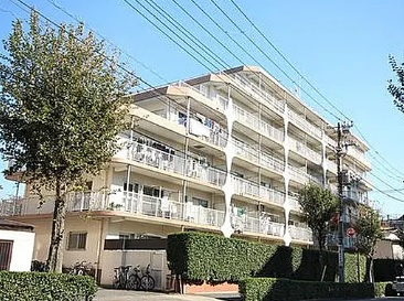 外観：313004800178