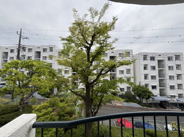 展望