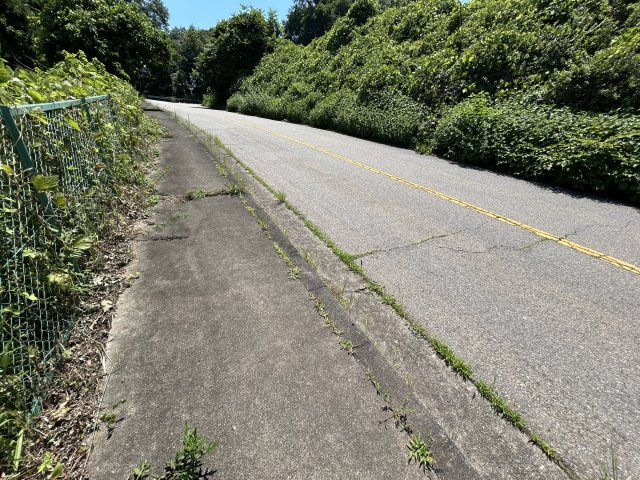 南東側県道沿い