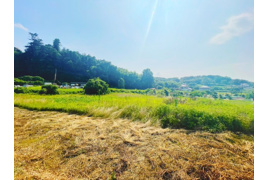 本庄市児玉町　売農地の外観