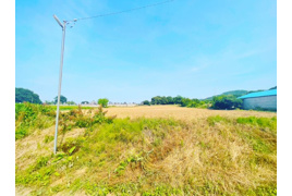 本庄市児玉町　売農地の外観