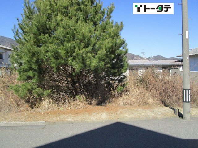 外観：334000212849