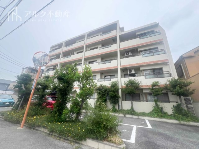2026年6月撮影