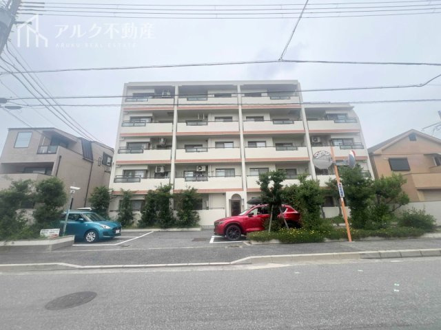 2026年6月撮影