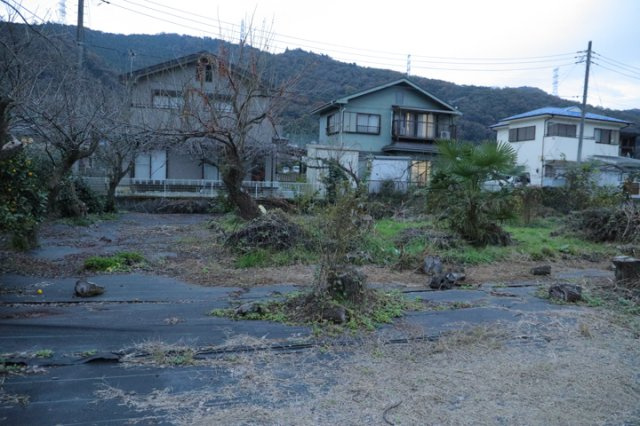 外観：314002369911