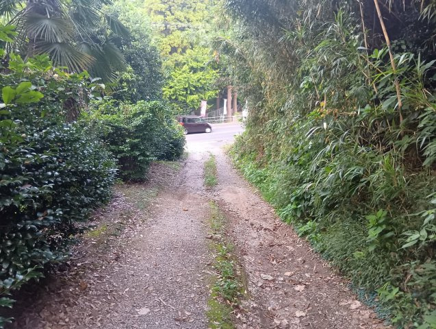 北側道路（七社神社側道路）