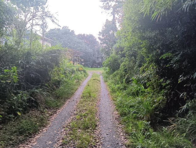 北側道路（七社神社側道路）