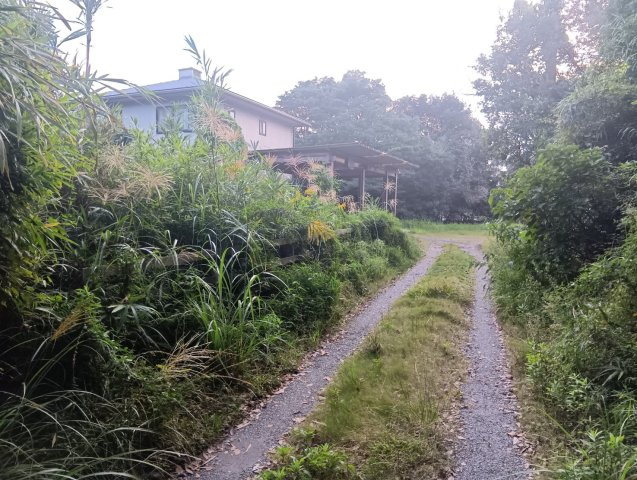 北側道路（七社神社側道路）