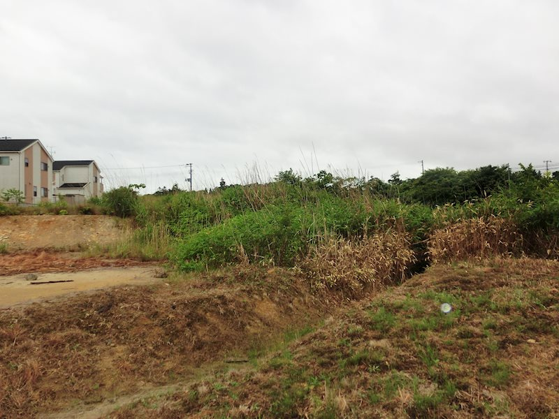 外観：307000058698