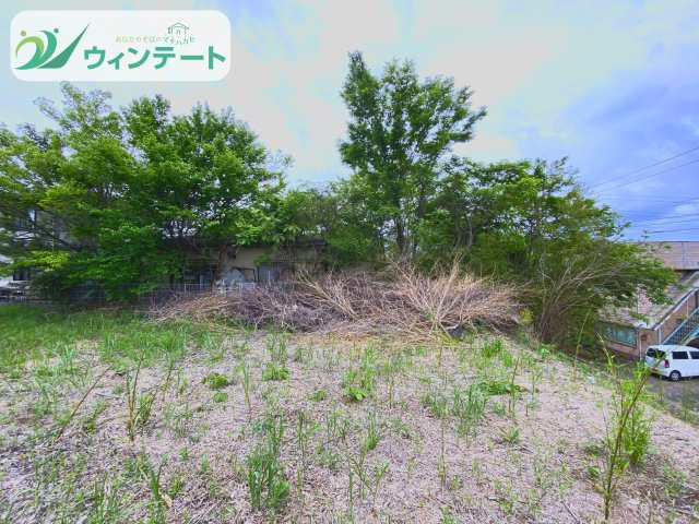 外観：308000182465