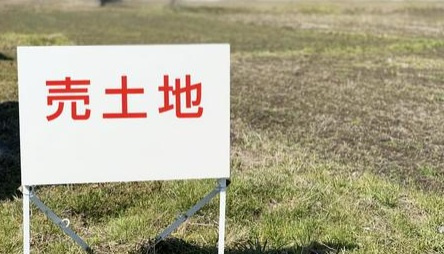 外観：313004832924