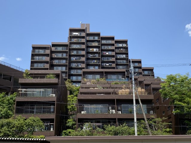 外観：343000087185