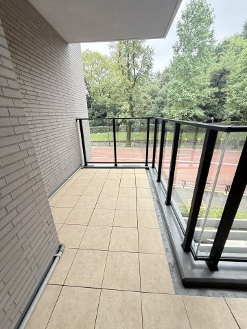 展望