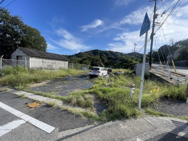 外観：334000216006