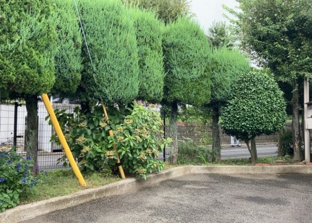 中庭（パティオ）とは、一つの建築物の内部に設けられた、壁などで囲われている庭のことを指します。コの字型、ロの字型が主流ですが、L字型の中庭もあります。最近では、インテリア性の高さからも人気があります。