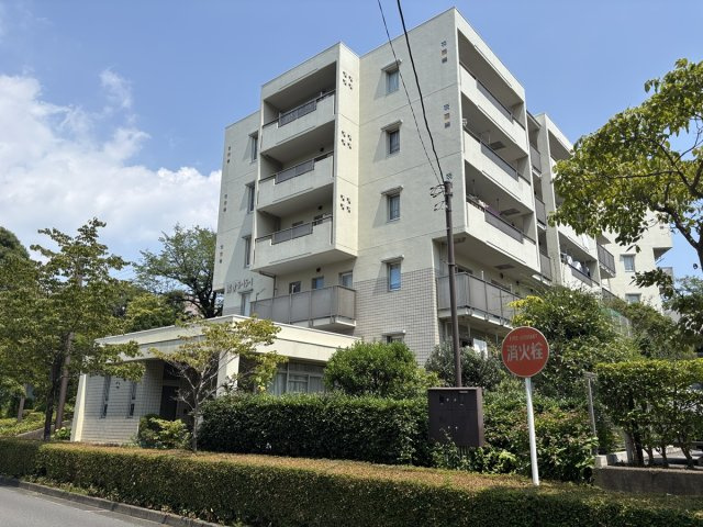 外観：313004828592