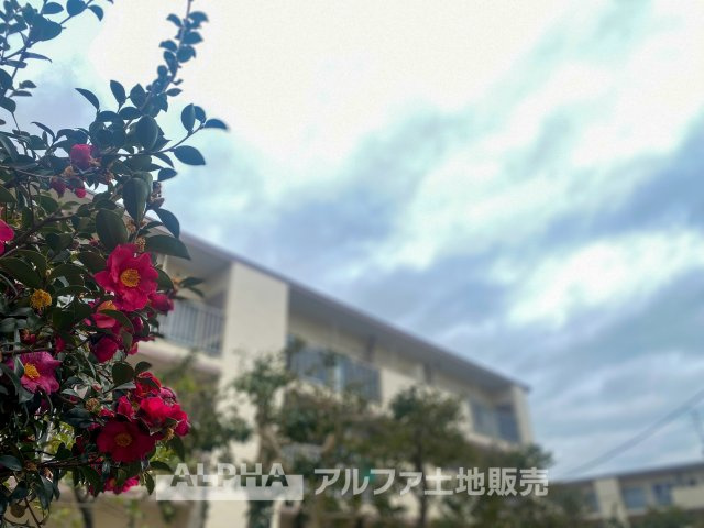 外観：313004565961