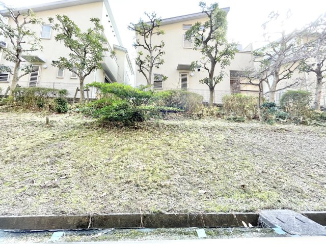 展望