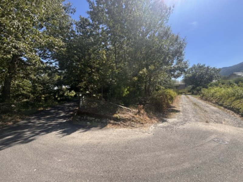 外観：325000119521