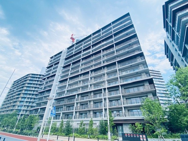 外観：313004859452