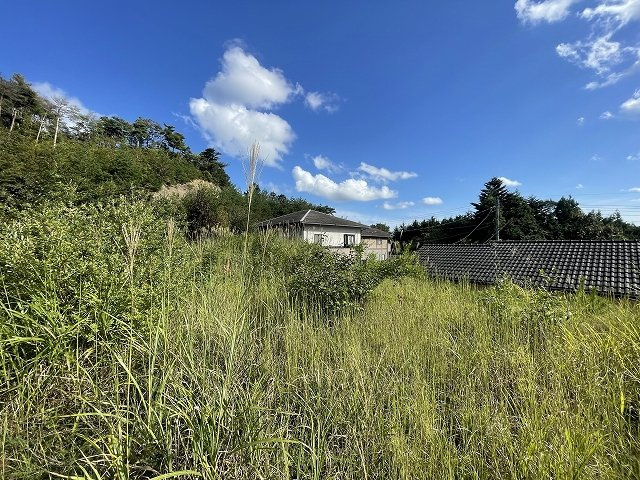 敷地内部から南東方向