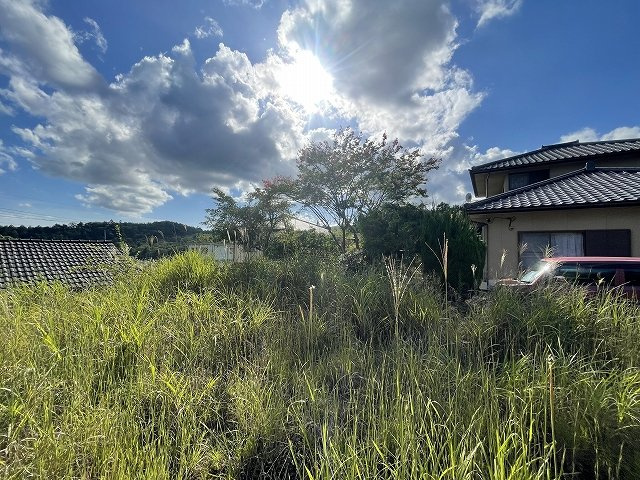 敷地内部から南西方向