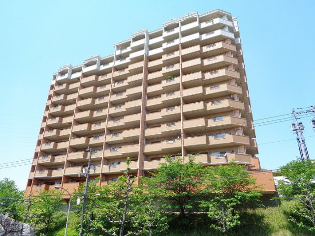 外観：334000268177