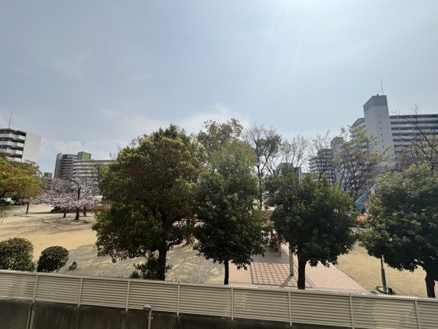 【眺望】　南側バルコニ―から南方向を望むと、前面に緑豊かな公園が広がり、自然を感じながら過ごすことができます。