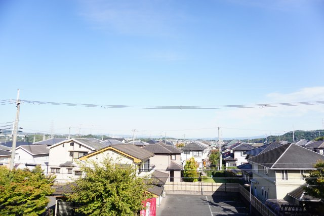 展望