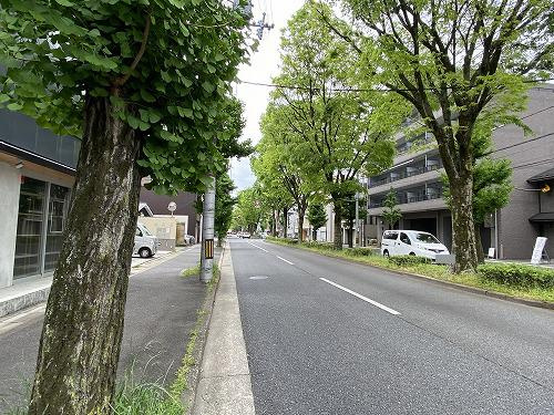 前面道路含む現地写真