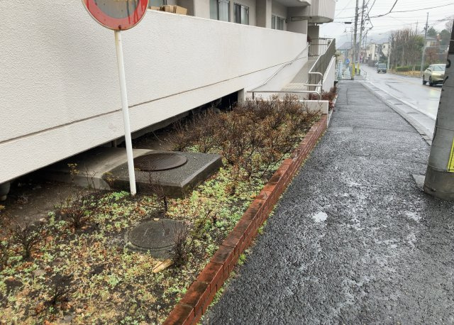 中庭（パティオ）とは、一つの建築物の内部に設けられた、壁などで囲われている庭のことを指します。コの字型、ロの字型が主流ですが、L字型の中庭もあります。最近では、インテリア性の高さからも人気があります。