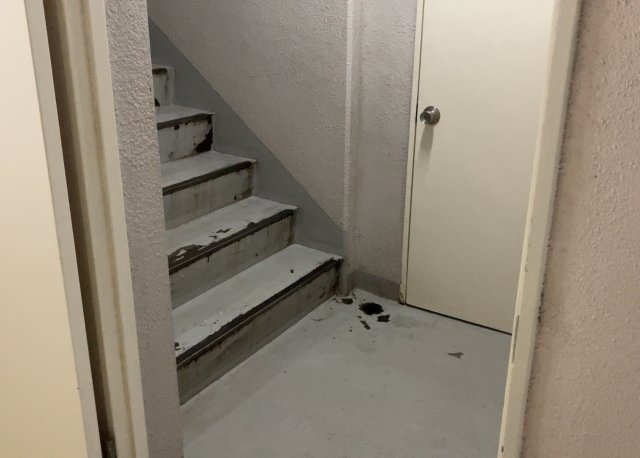 共用部分は、一棟の建物に住む区分所有者全員が共同で所有するとし、共用部分の管理、補修などは、区分所有者で形成される管理組合が行います。個人の判断で勝手に変更することはできませんので覚えておきましょう。