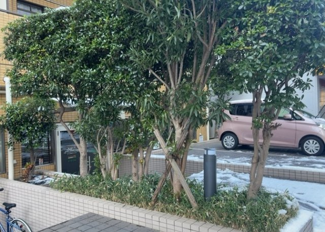 物件によっては、入居者が個人的に使用できる専用庭がついているものもあります。また、住宅の中にある土間の部分を庭と呼ぶこともあります。庭の用途は住む人によって変わり、それによってデザインもさまざまです。