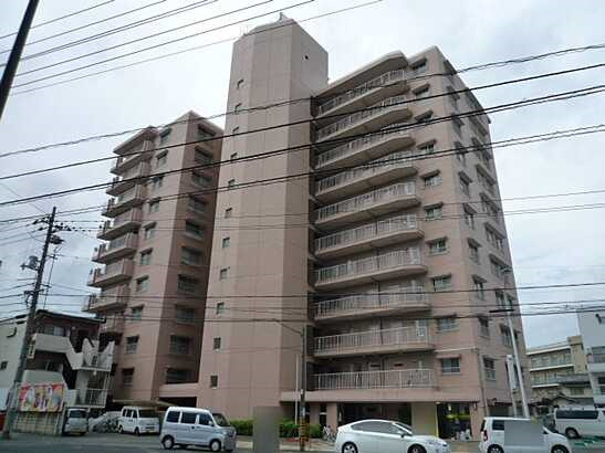 外観：334000241740