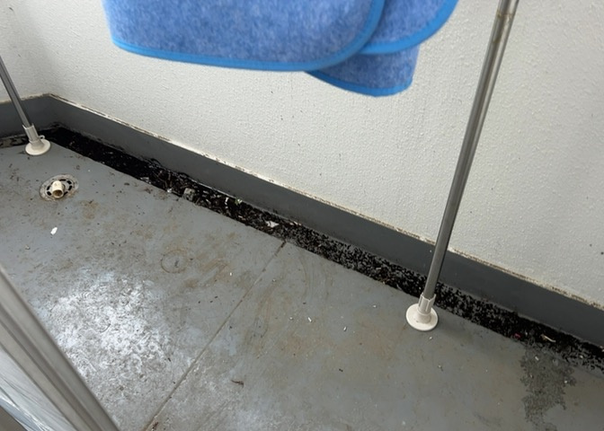 バルコニーは、室外の専用スペースのうち、「屋根がなく開放された空間」であるものを指します。ベランダより広いタイプのものが多く、日当たりもよいため家庭菜園などを楽しみたい人にとって適した環境となります。