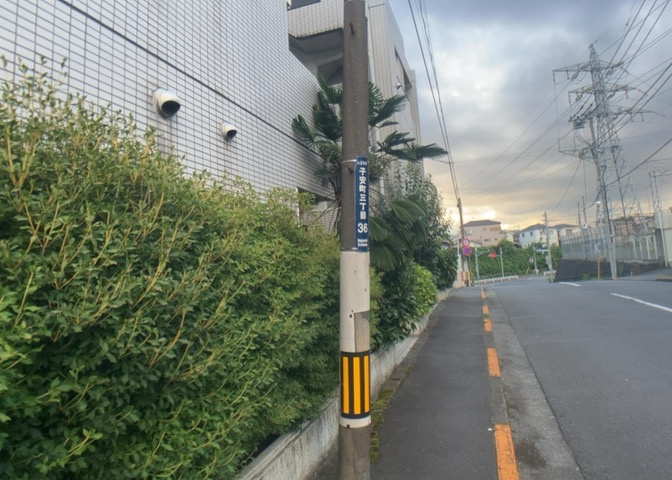 外観：313004853689