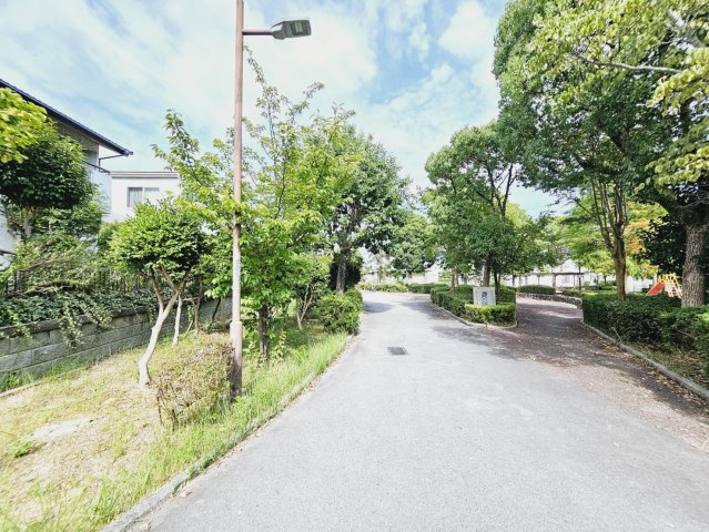 南側道路