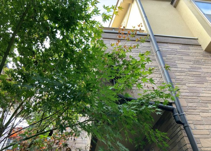 バルコニーは、室外の専用スペースのうち、「屋根がなく開放された空間」であるものを指します。ベランダより広いタイプのものが多く、日当たりもよいため家庭菜園などを楽しみたい人にとって適した環境となります。